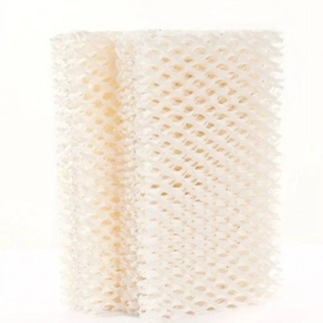 Humidifier Wick Filter 2-Pack R406573