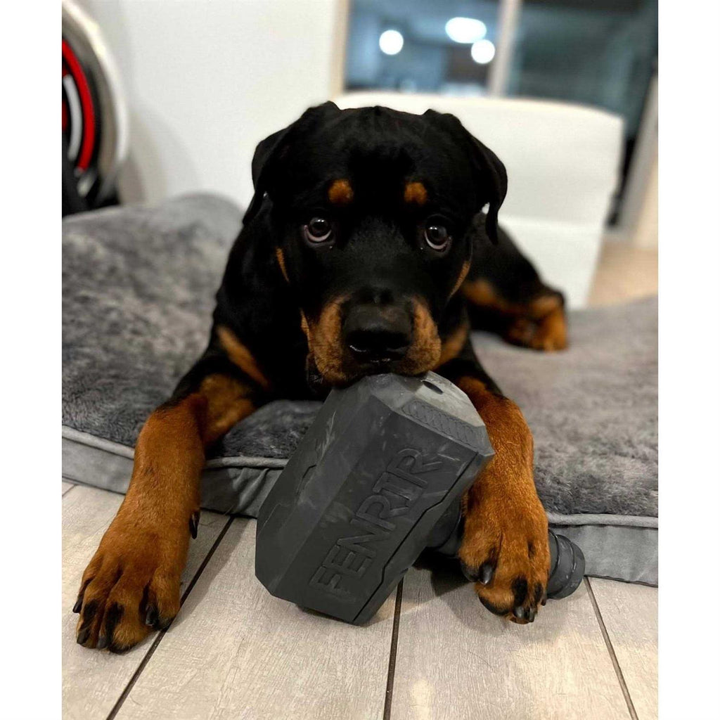 Hammer Chew Toy C595707