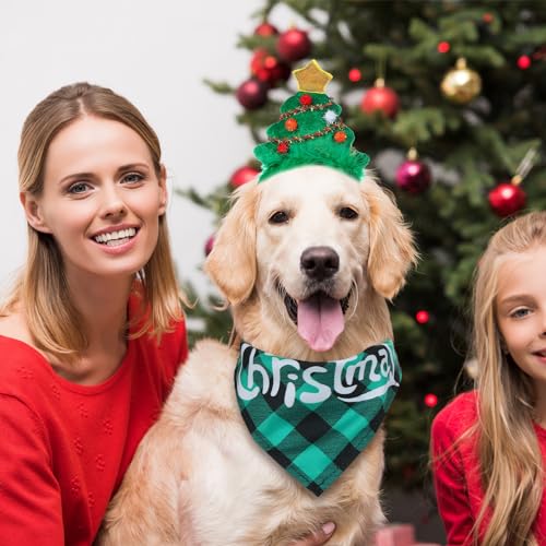 12 Pc Christmas Dog Bandanas Set S742