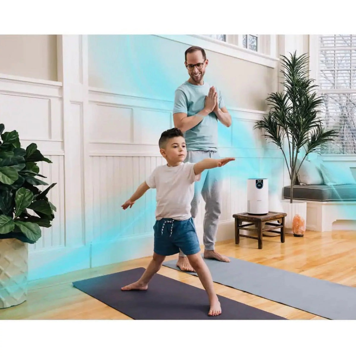 Air Purifier With True HEPA U892466