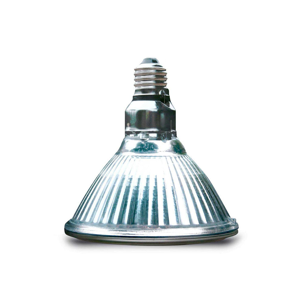Halogen Heat Lamp J216