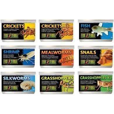 Canned Earthworms Reptile Food N468324