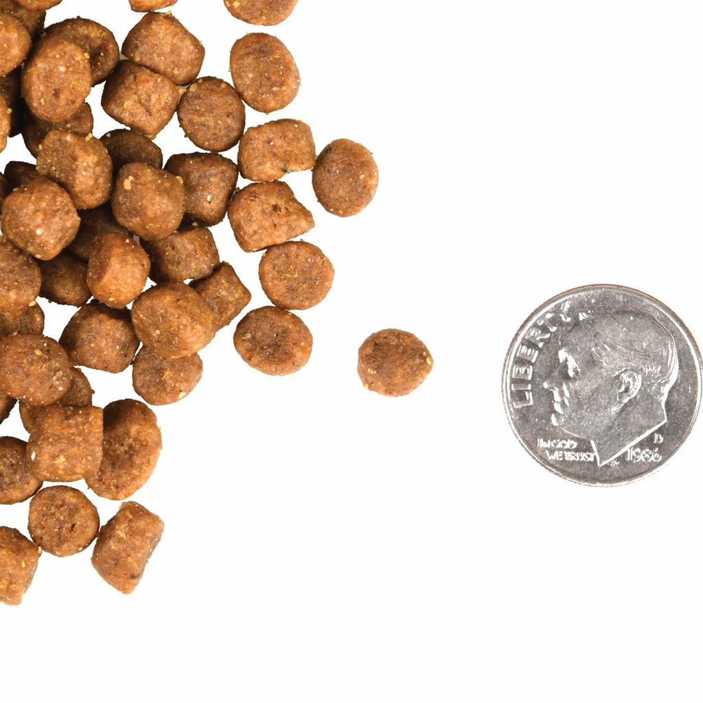 Gold Cat Food M297