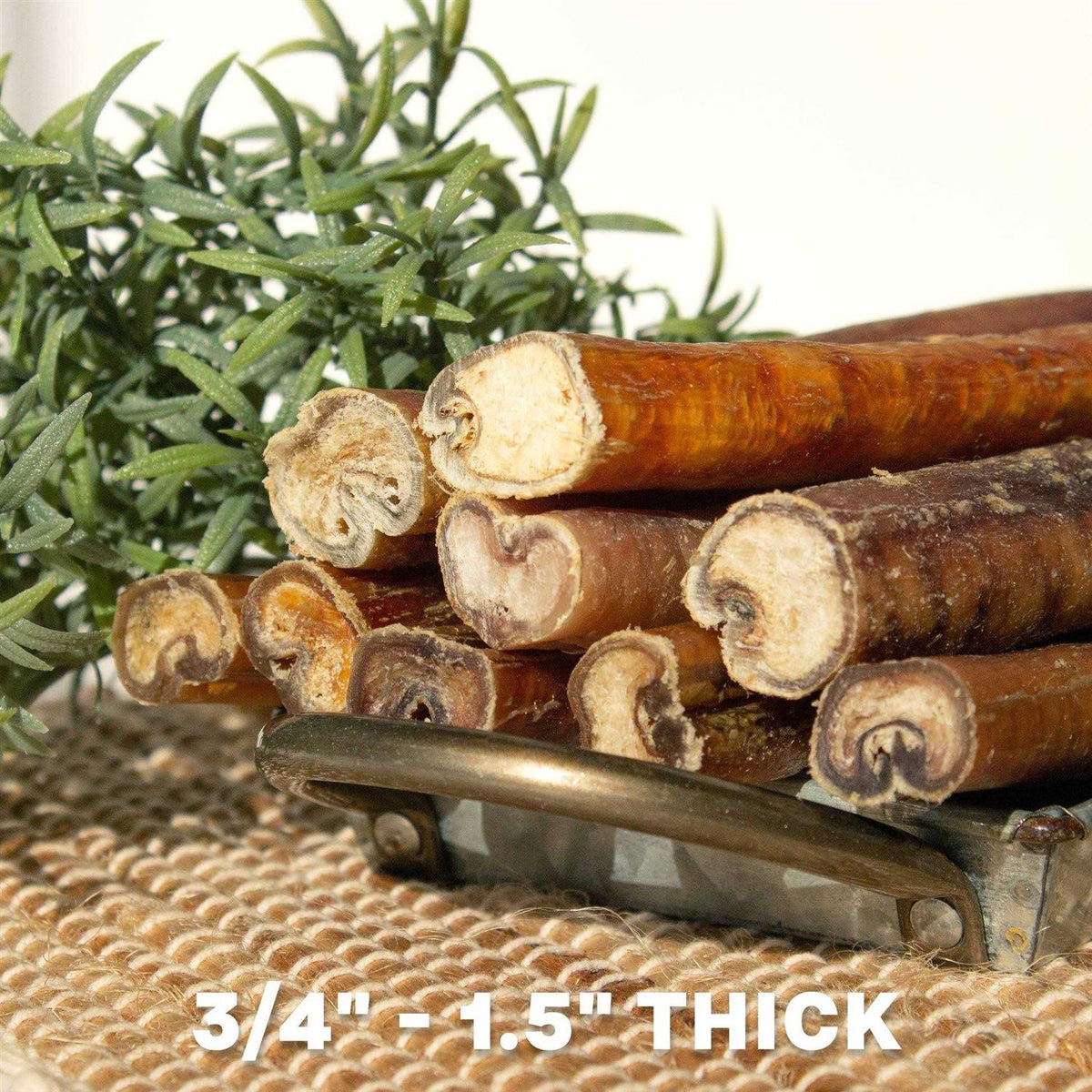 Thick Rawhide Free Dog Chews J593108
