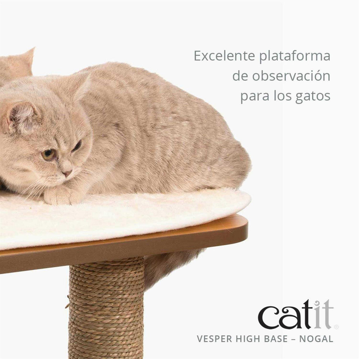 Cat Tree H717114