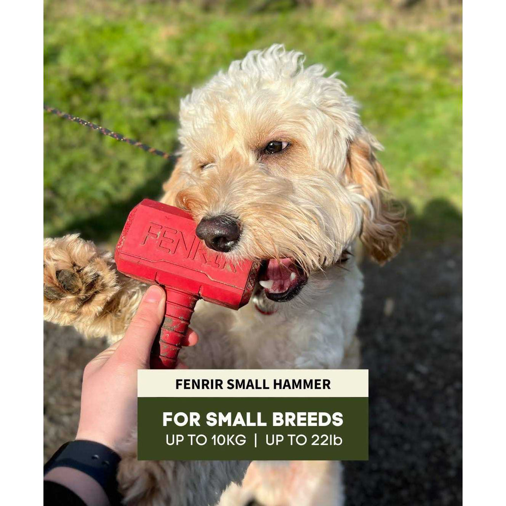 Hammer Chew Toy C595707