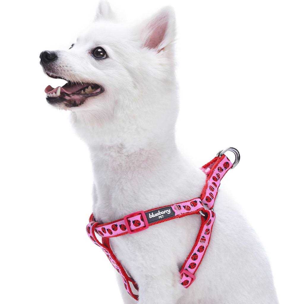 Dog Harness P93868