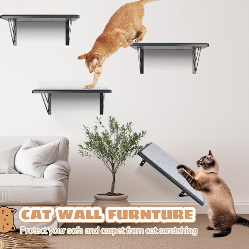 Black Cat Wall Shelves Set of 2 K534905