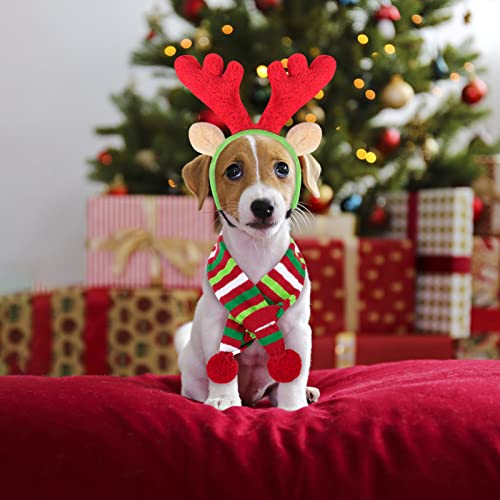 Dog Christmas Antlers Headband and Striped Scarf Set W352905