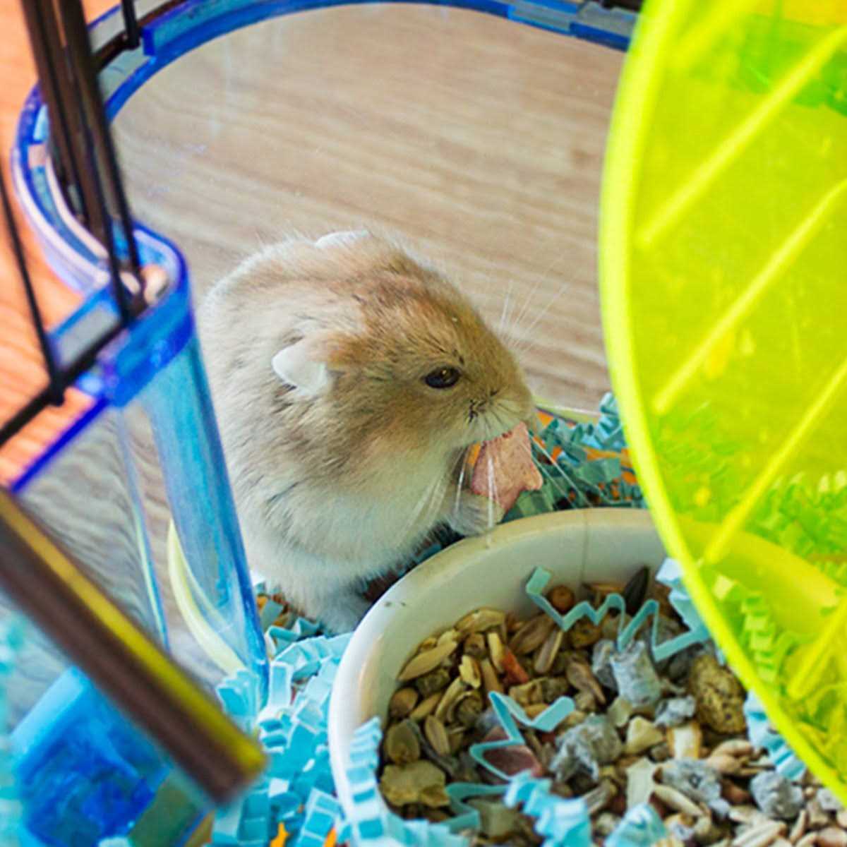 Strawberry Drops for Hamsters N13693