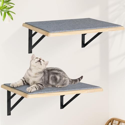 Black Cat Wall Shelves Set of 2 K534905