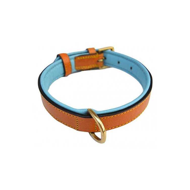 Leather Padded Dog Collar O942