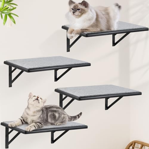 Black Cat Wall Shelves Set of 2 K534905