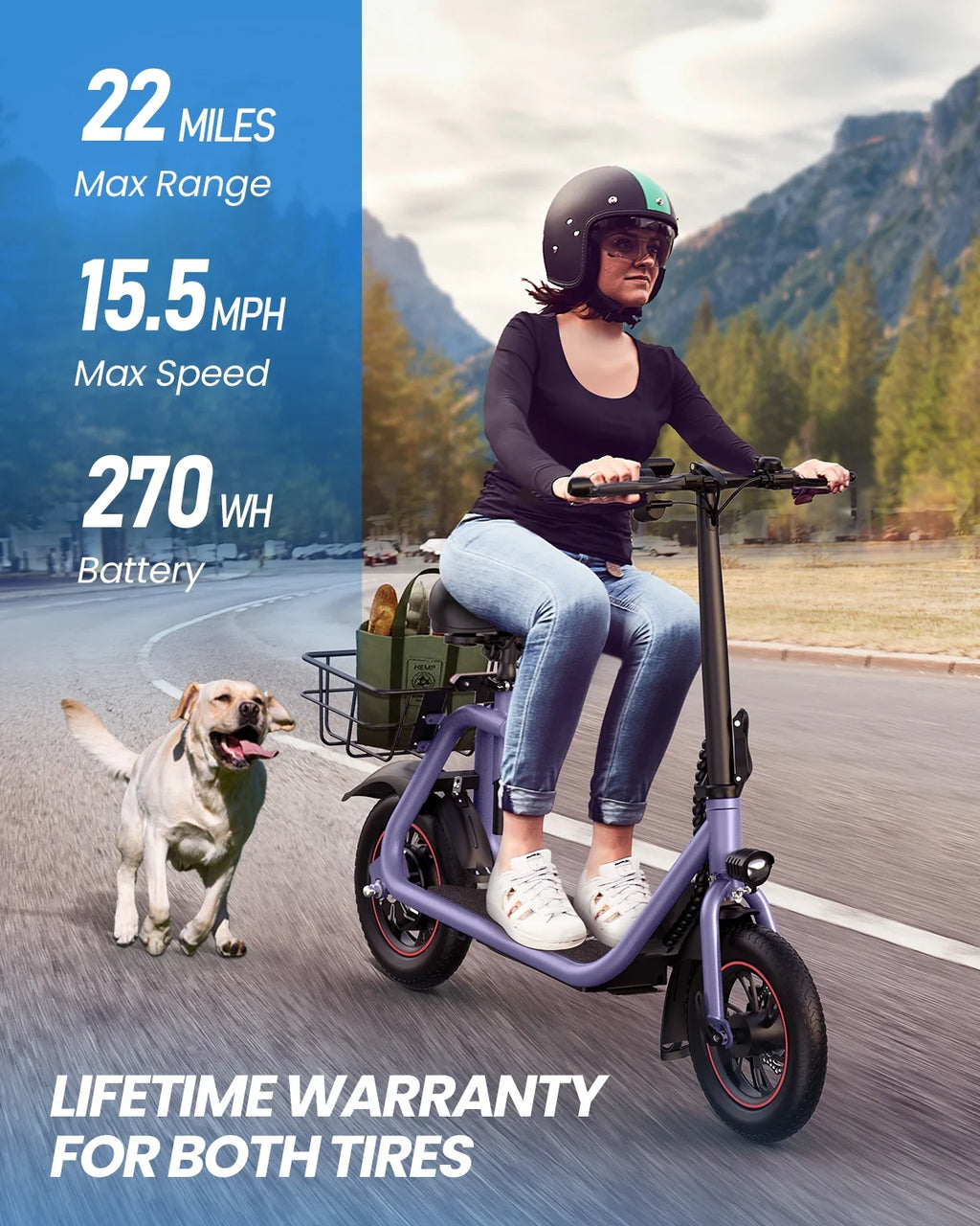 Electric Scooter with Seat, 450W Motor, 22 Miles Range, Folding, Black F41619