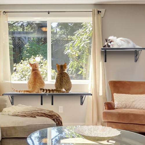 Black Cat Wall Shelves Set of 2 K534905