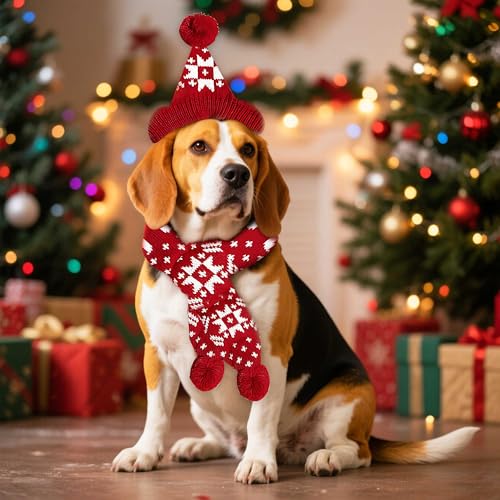 Christmas Antler Pet Red Scarf S159184
