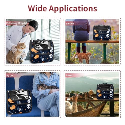 Airline Approved Soft Sided Pet Carrier H300104