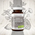 60 Capsules 500 mg Skullcap Lemon Balm Holy Basil Reishi Mushroom Valerian O1390