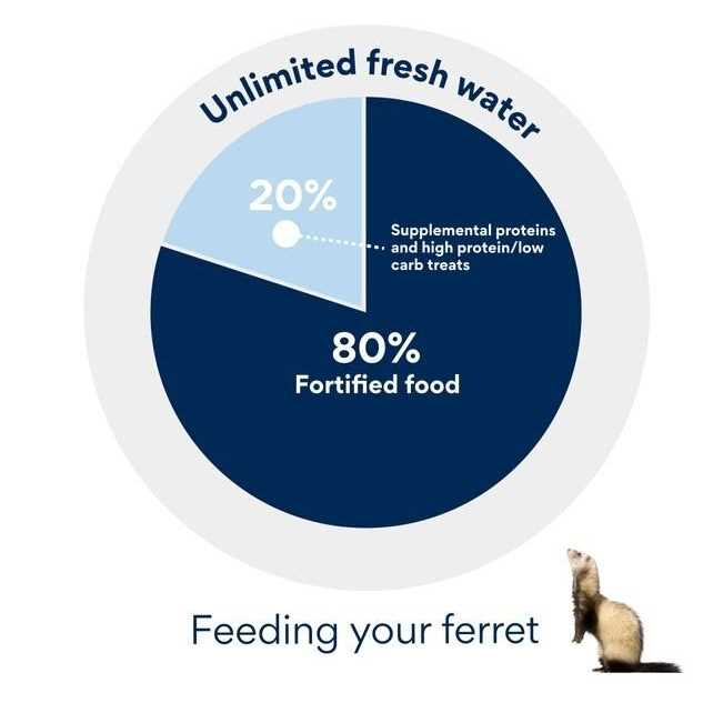 Chicken Ferret Diet Z71526