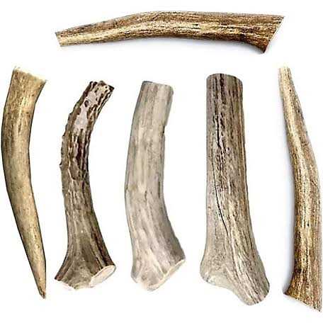All Natural Whole Deer Antler Dog Chew Treats N670617