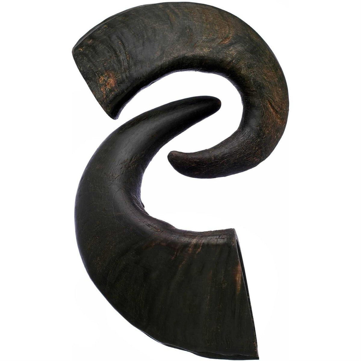 Water Buffalo Horn Dog Treat Y214963
