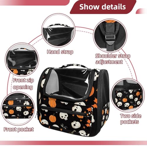Airline Approved Soft Sided Pet Carrier H300104