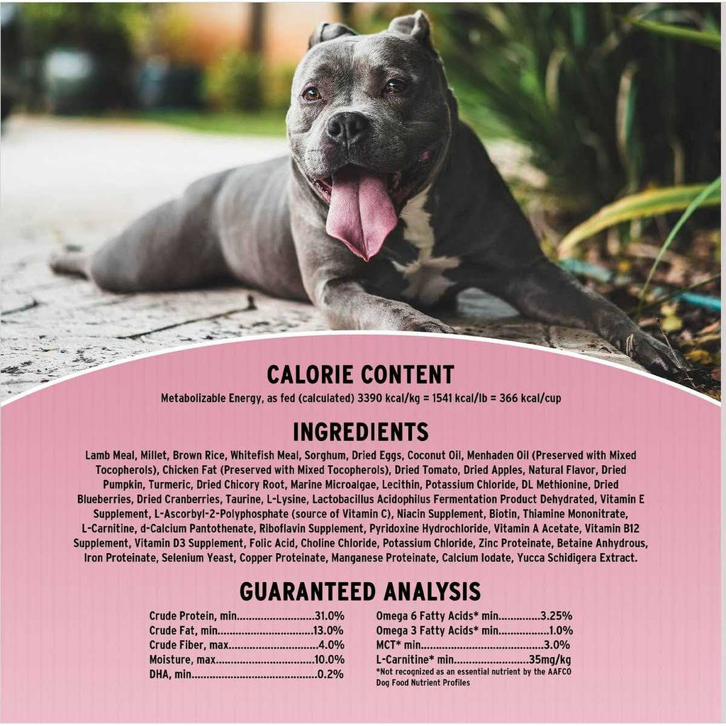 Sensitive Skin & Stomach Dry Dog Food G2088