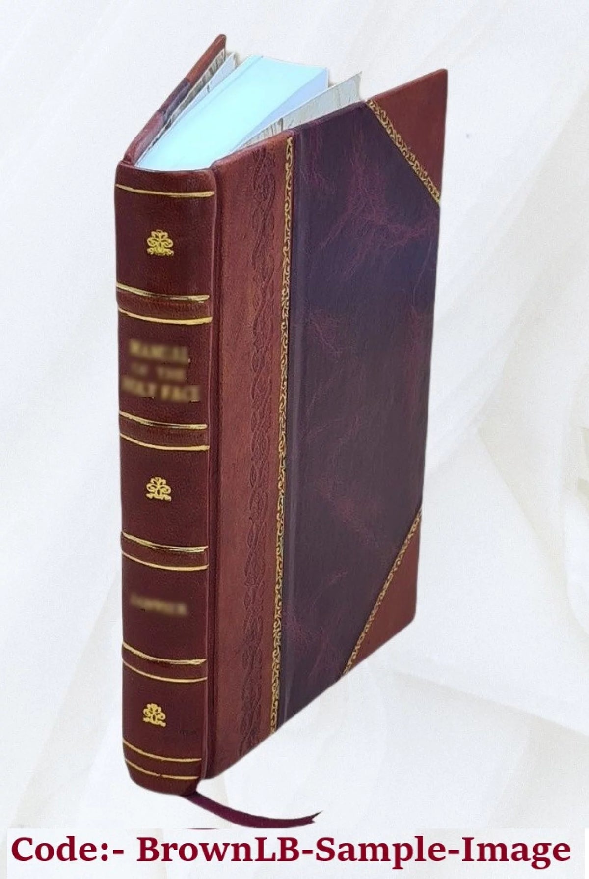 Leather Bound V171824