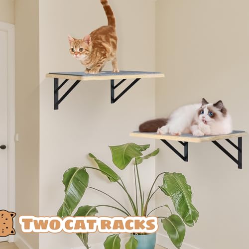 Black Cat Wall Shelves Set of 2 K534905