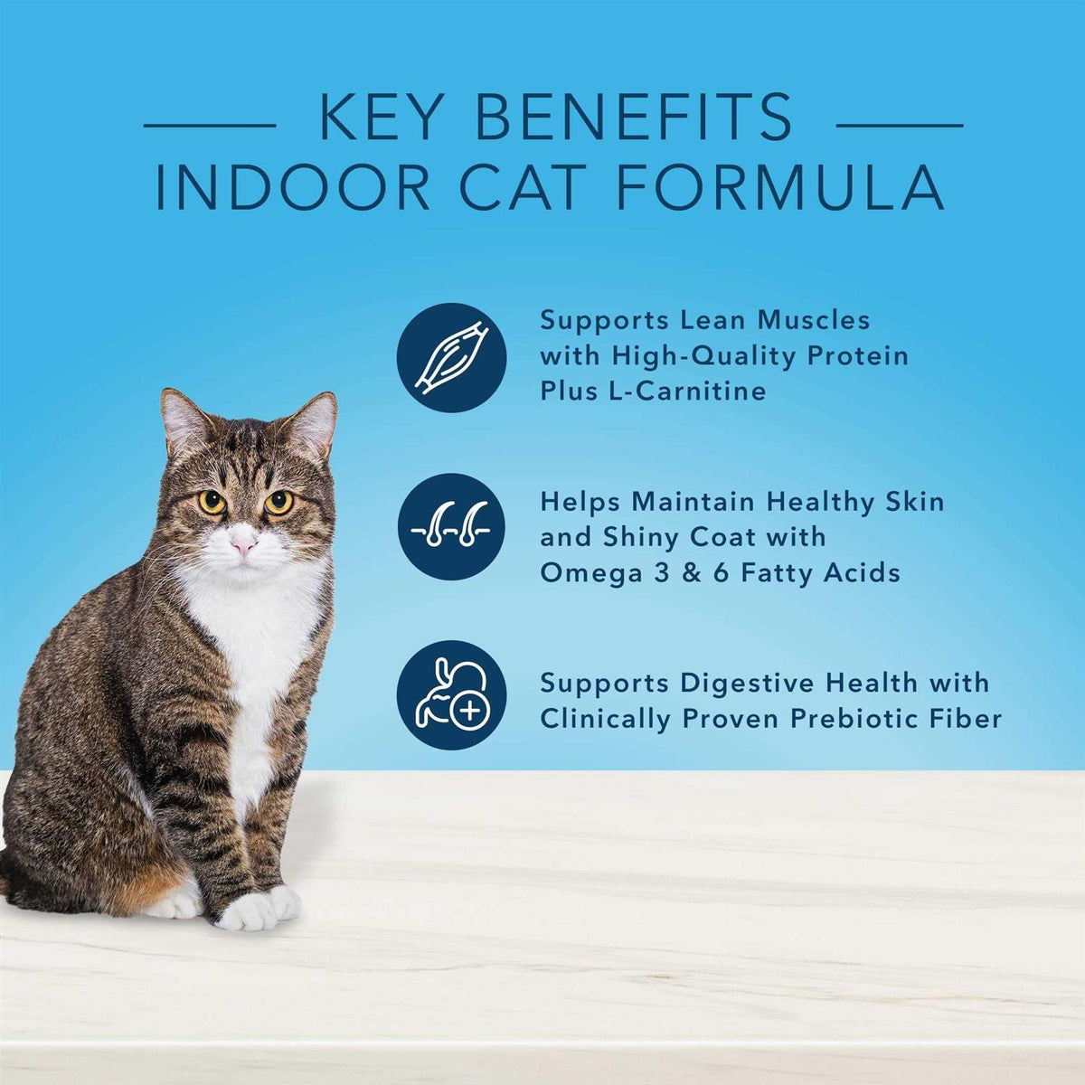 Natural Chicken Indoor Adult Dry Cat Food D2422