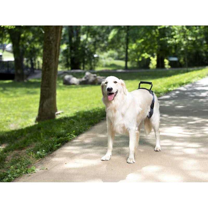 Dog Rear Harness W9310
