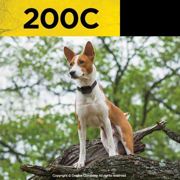 Remote Training Collar 2-Dog O913