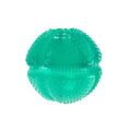 Dental Squeezz Ball Dog Toy N12904
