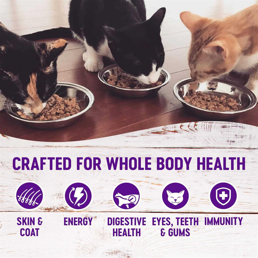 Complete Health Pâté Pet Supplies Q9012