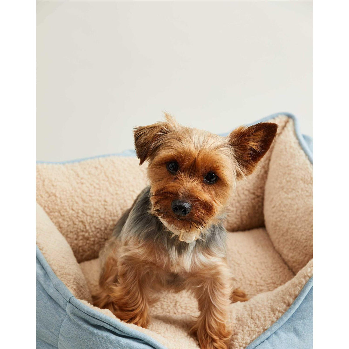 Blue Chambray Cozy Sherpa Pet Bed D31542