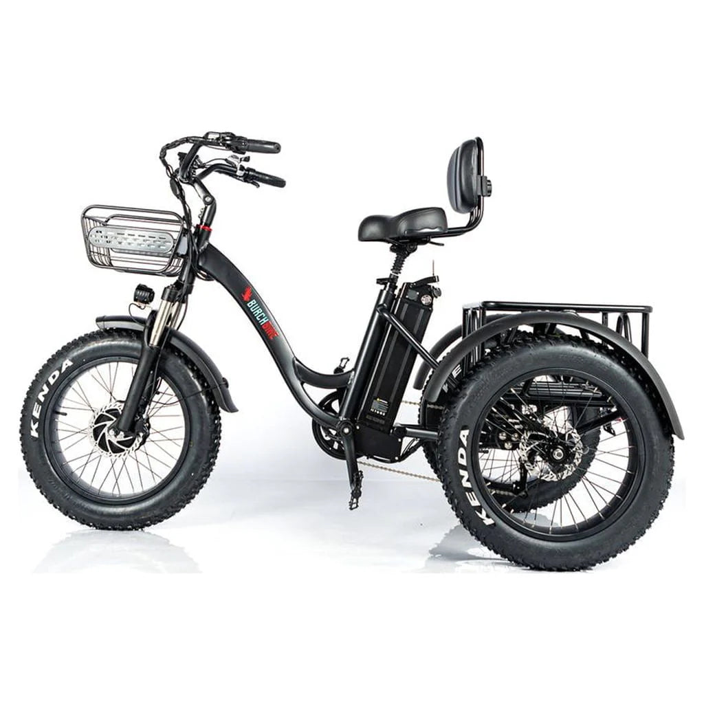24 Inch Fat Tire 3 Wheel Electric Tricycle Q40165
