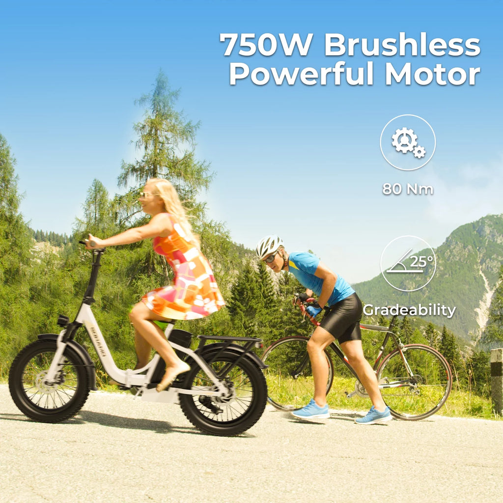 750W Folding Electric Bike 48V 15AH Removable Battery 20 Fat Tire D285209