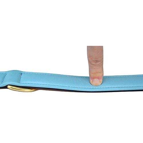 Leather Padded Dog Collar O942