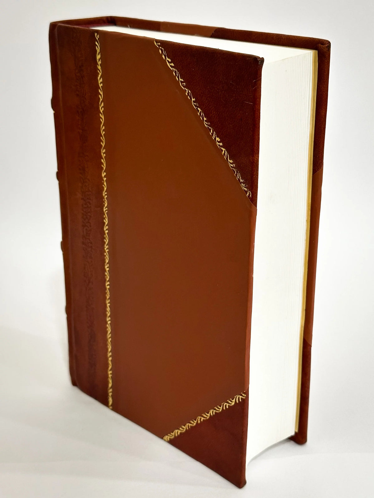 Leather Bound Volume 1 P362575