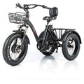 24 Inch Fat Tire 3 Wheel Electric Tricycle Q40165