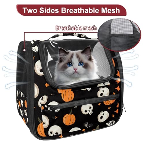Airline Approved Soft Sided Pet Carrier H300104