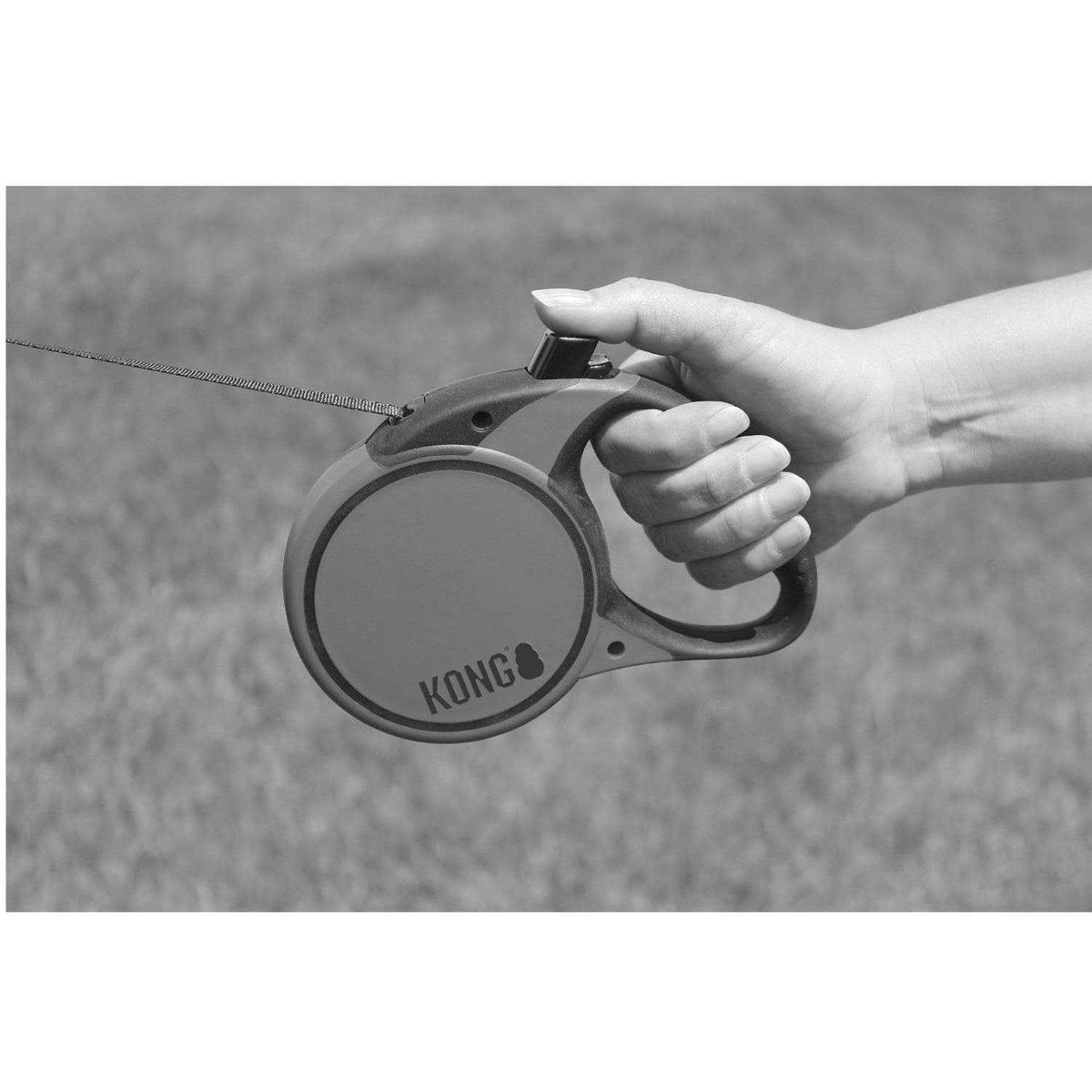 Retractable Dog Leash B234406