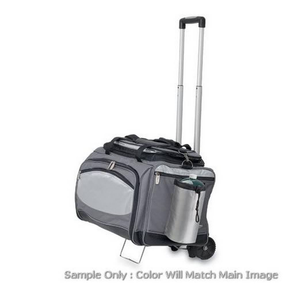 Vulcan Cooler & Propane Gas Grill S6129