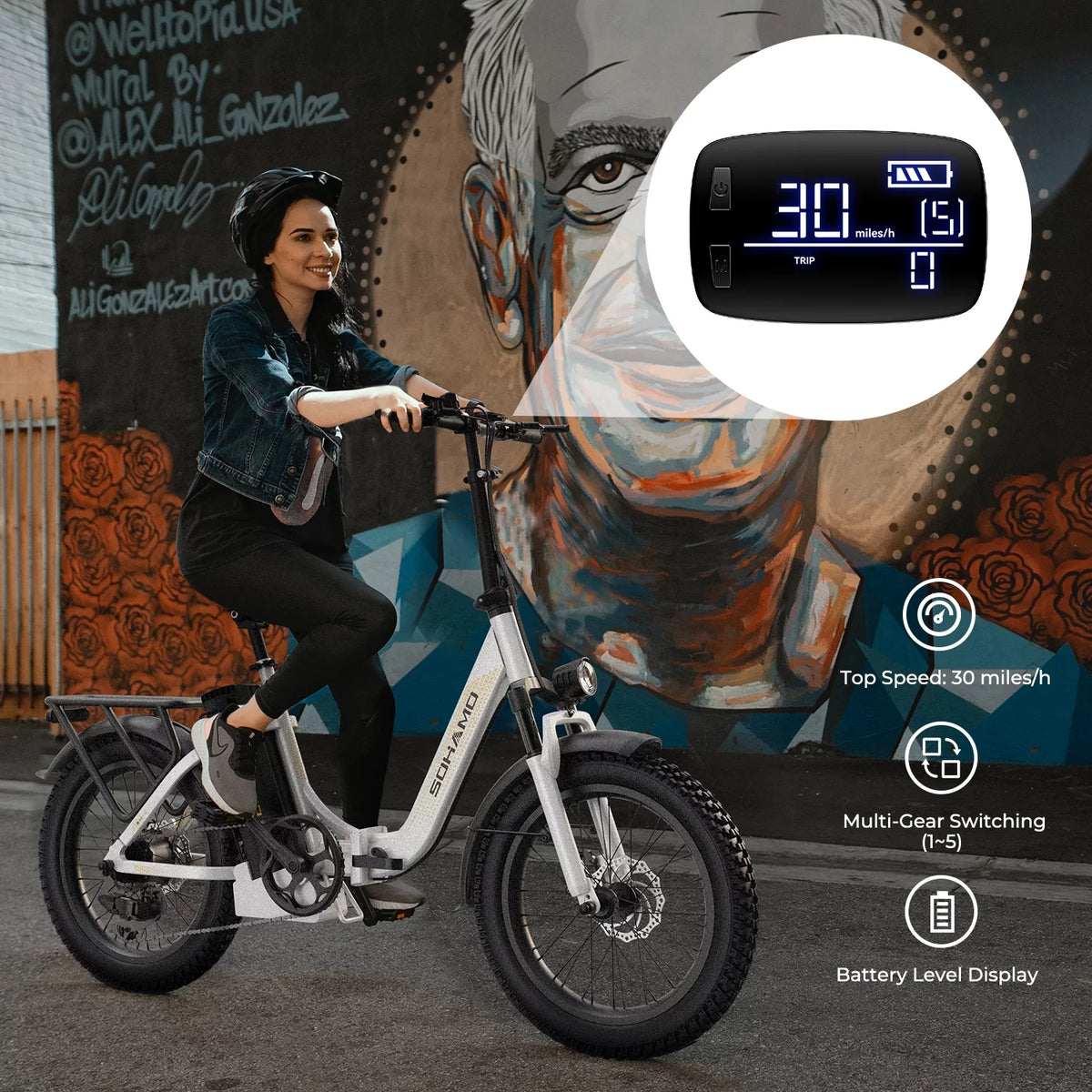 750W Folding Electric Bike 48V 15AH Removable Battery 20 Fat Tire D285209