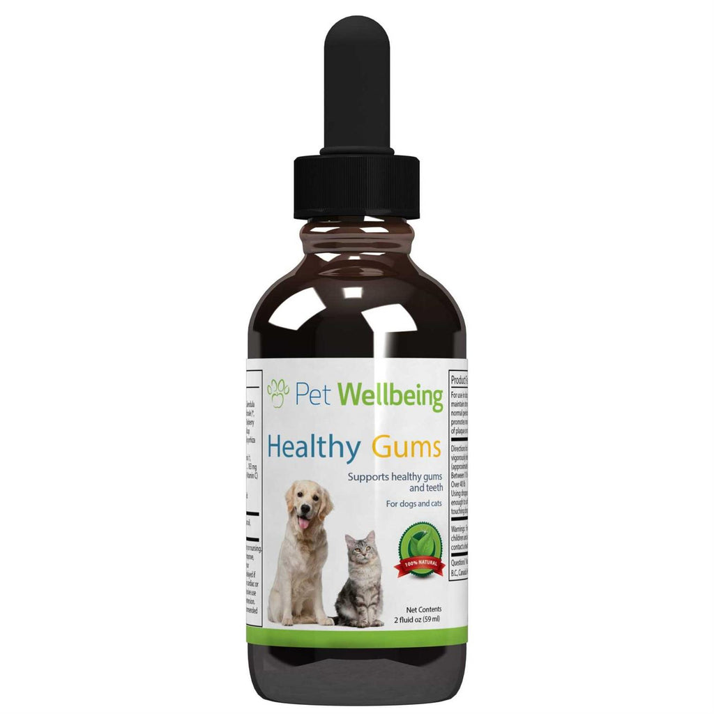 Healthy Gums for Feline Periodontal Health B4260