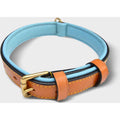 Leather Padded Dog Collar O942