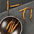 Cordyceps Sinensis Chongcao 3g D2501