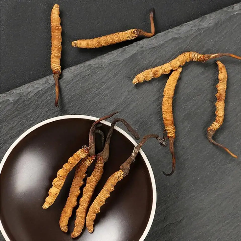 Cordyceps Sinensis Chongcao 3g D2501