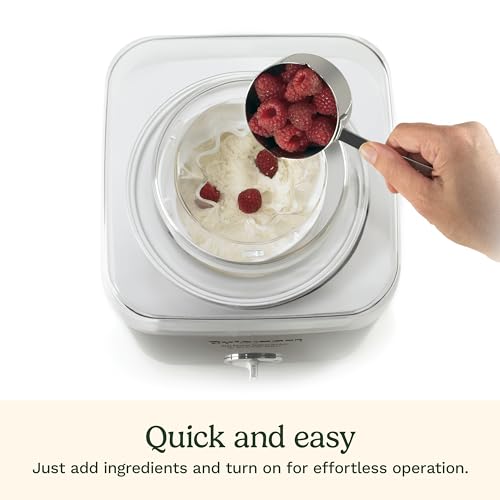 Ice Cream Maker 2-Qt Silver I1620