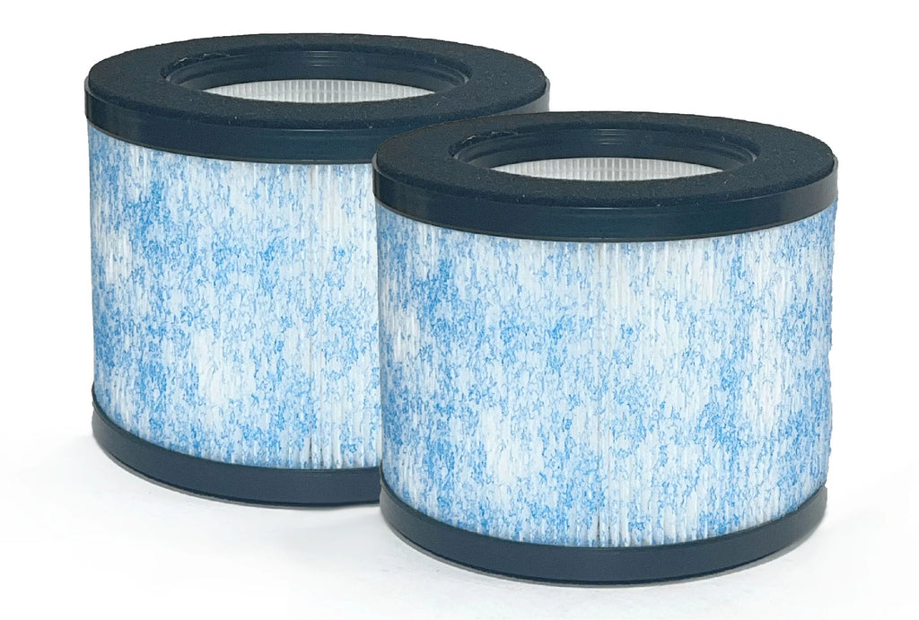 True HEPA Filter Replacement 2 Packs X88522